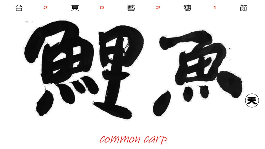 【2021臺東藝穗節】《鯉魚 COMMON CARP》